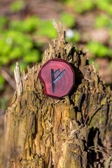 Rune Fehu carved from wood on an old stump - Elder Futhark