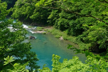 《抱返り渓谷》秋田県仙北市