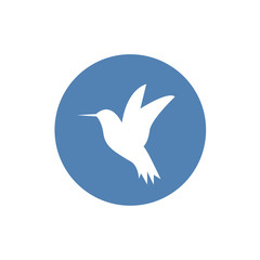 Hummingbird icon. Flat vector illustration on white background.