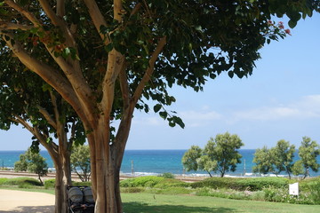 Nature in Haifa, Israel