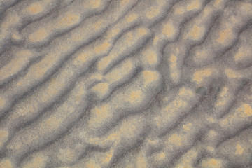 Wavy texture on the rocks