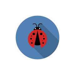 Ladybug or ladybird vector graphic illustration, isolated. Cute simple flat design of black and red lady beetle. Vector EPS 10