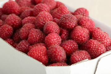 fresh raspberries in a bowl
