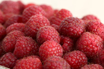 raspberries on white background