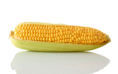 corn on the cob