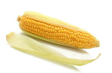 corn isolated on white background
