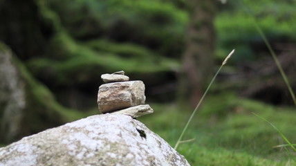 Steinhaufen im Wald