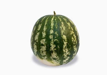 Watermelons on a white background