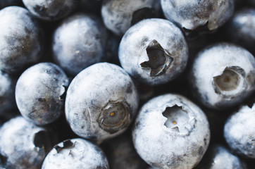 Fresh organic blueberries of closeup. Background of blue berries