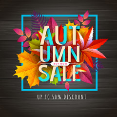Autumn big sale typography poster with autumn leaves. Nature concept