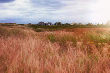 Nantucket Island Landscape