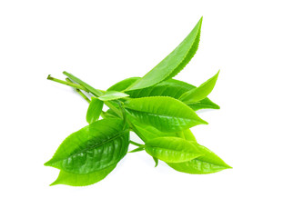 Green tea leaf isolated on white background