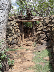 Traditional village of Konso, UNESCO World Heritage Site, Ethiopia
