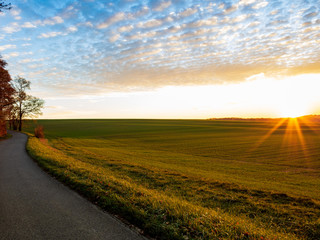 Sunset over green agricultural field and asphalt road in autumn against blue cloudy sky.