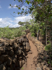 Traditional village of Konso, UNESCO World Heritage Site, Ethiopia