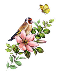 Hand Drawn Goldfinch Sitting on Pink Flower