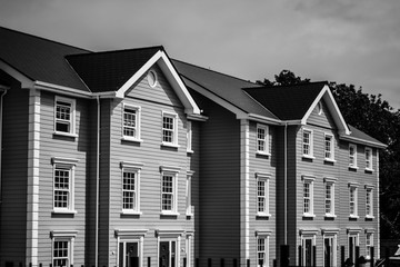 Black & White Houses