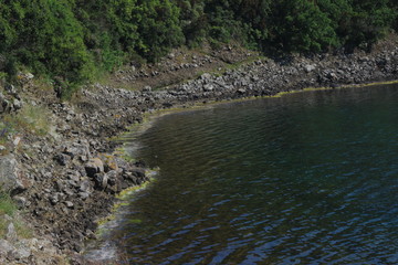 river in the forest