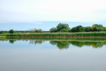 Small lake in Ukraine. Calm on a lake with reed shores.