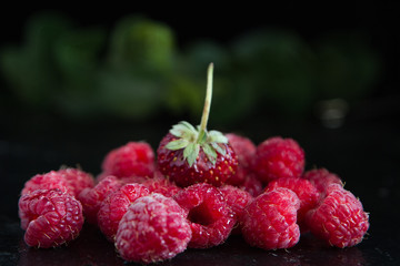 fresh organic berries on a black background