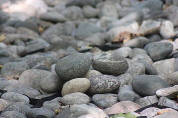 stone
