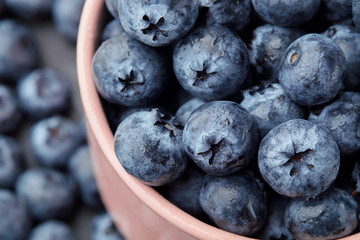 Fresh selected blueberries in bowl, close-up