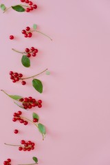 Small juicy red berries in a row vertically on a pastel pink background with copy space for text. Top view, flat lay.