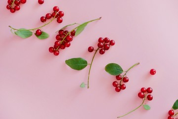Small juicy red berries in a row diagonally on a pastel pink background with copy space for text. Top view, flat lay.