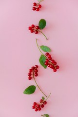 Small juicy red berries in a row  vertically on a pastel pink background with copy space for text. Top view, flat lay.