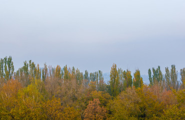 Urban autumn landscape with colorful trees in sunlight