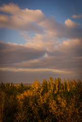 Urban autumn landscape with colorful trees in sunlight