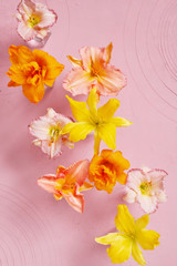 Tender pink background with flowers