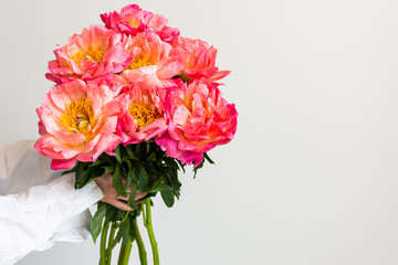 Bouquet of pink peonies in the hand of the girl on the background of a white wall close-up