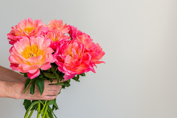 Beautiful bouquet of pink peonies in a man's hand on a white wall background