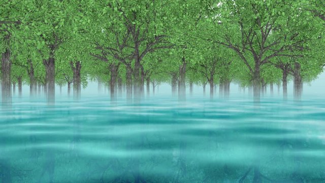 森を進む_ループ_青い池_反射