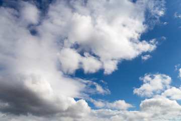 Fototapeta premium This sunny blue sky