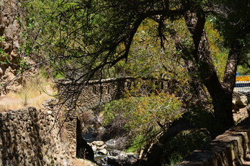 old stone bridge in the forest