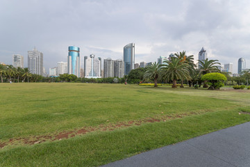 Fototapeta na wymiar Evergreen Park in the city Haikou, Hainan, China 