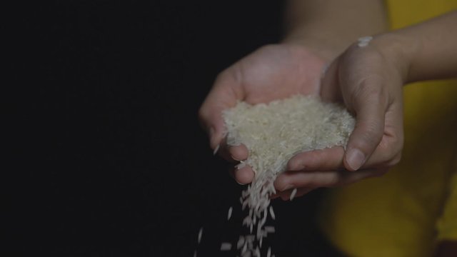hand falling rice seed with dark background.