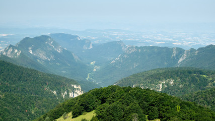 Naklejka premium The bowl-shaped forest of Saou viewed from Les Trois Becs is one of Europe's best examples of a perched syncline formation