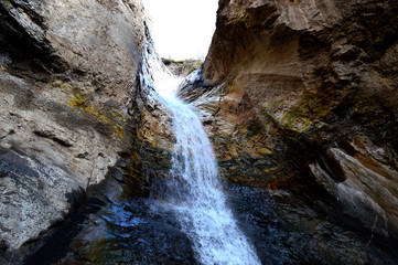 waterfall in forest