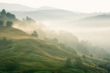 Morning landscape on hills with fog and soft light in the air. Landscape in the vicinity of a...