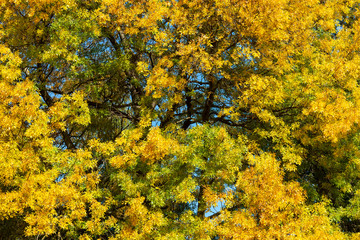 Deutschland, Baden-Württemberg, Karlsruhe, 