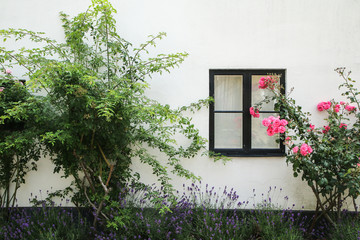 The detail of a part of a facade of the Scandinavian house. The nice flowers are standing in front of the house. 