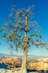 Bryce Canyon National Park, Utah, USA