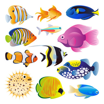 Sea fishes vector flat cartoon illustration. Tropical ocean reef or home aquarium exotic fishes set
