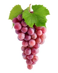 Red grape, isolated on white background, clipping path, full depth of field