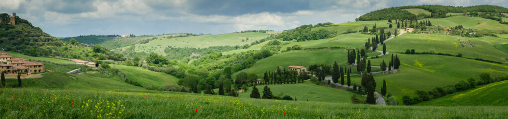 Cypress road near small village of Monticchiello, Tuscany, Italy