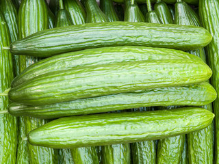Fresh long cucumbers are in the box, top view.