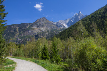 Fototapeta na wymiar Snowy mountains peak among trees